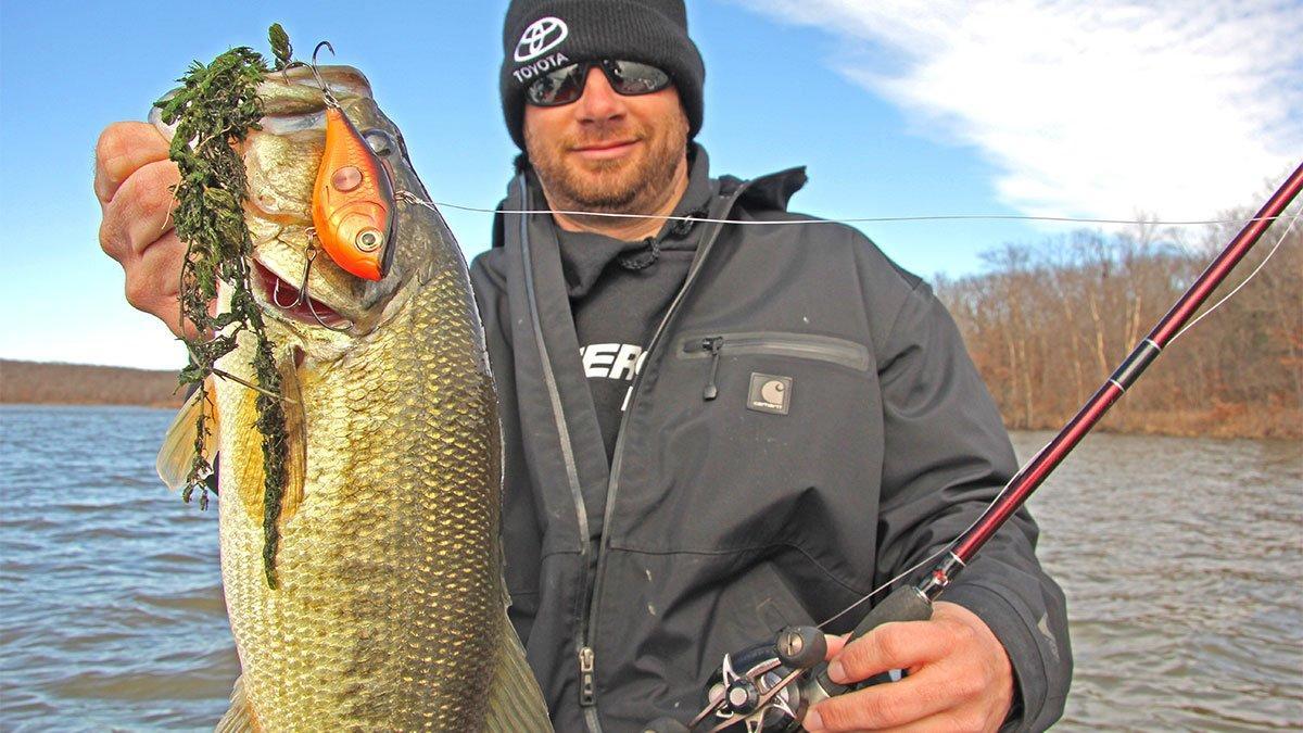 Don't Overlook Lipless Crankbaits this Winter - Wired2Fish