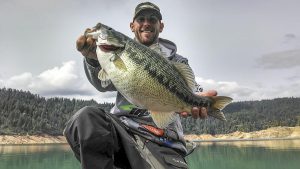 Western Tactics for Suspending Spotted Bass