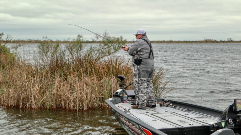 Proven Baits for Tough Bass Fishing Conditions