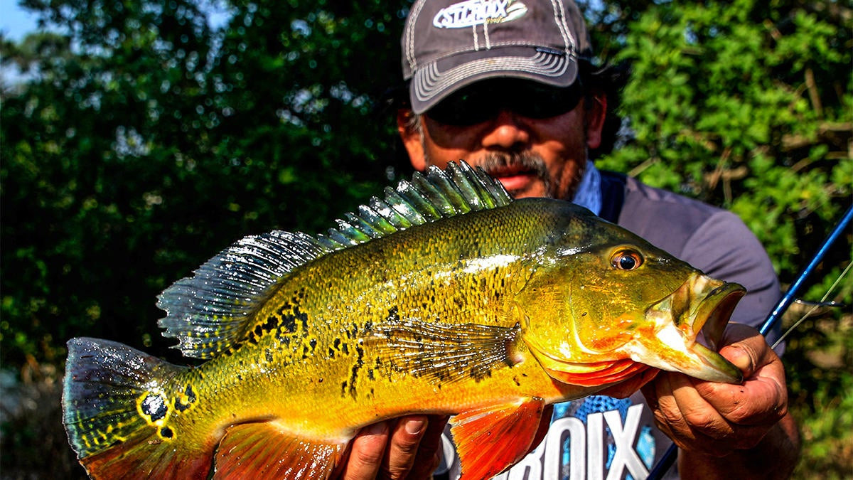 Bucket List Fishing Trip: Head South for Tropical Exotics - Wired2Fish