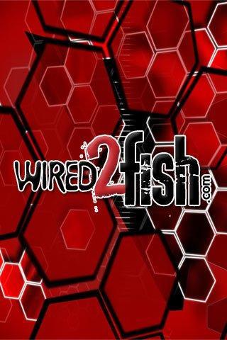 Wired2Fish Wallpapers for Mobile Devices