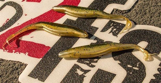 A Guide to Bass Fishing Soft Plastics - Wired2Fish