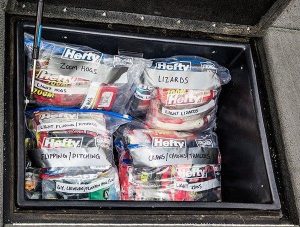 7 Steps for Organizing Soft Plastics