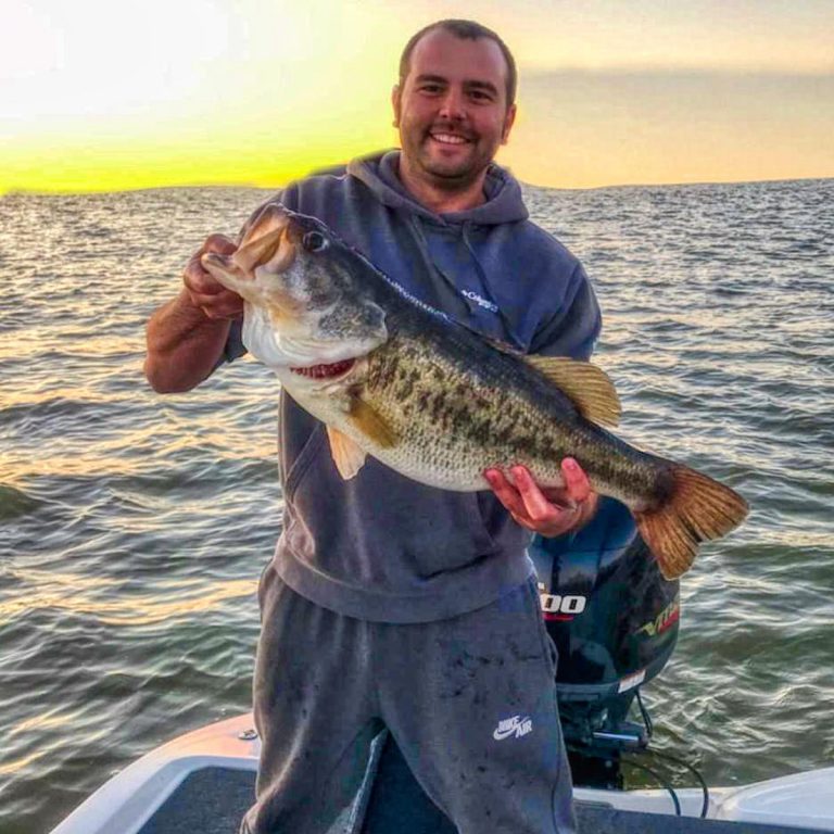 Huge Limit of Bass Caught on Kentucky Lake