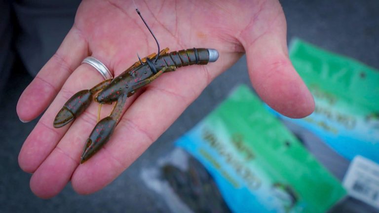 Catch Loads of Bass on Neko-Rigged Crawfish Plastics