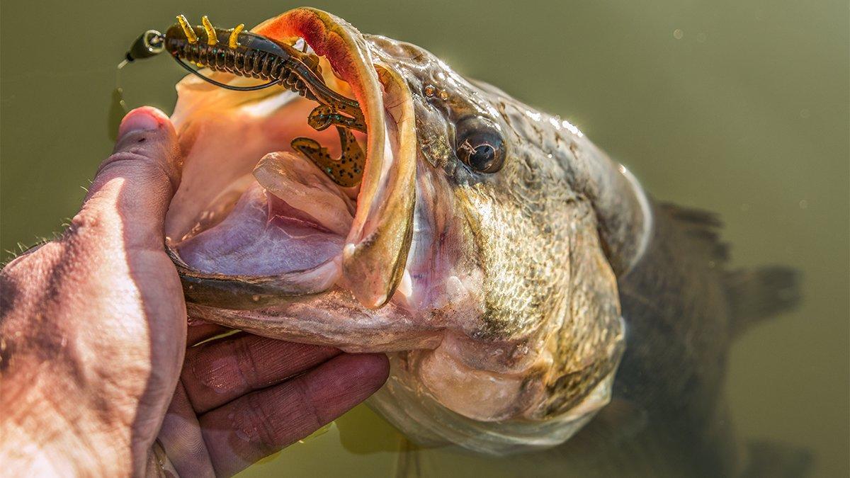 Opinion: Stubbornness Will Hurt Your Fishing - Wired2Fish