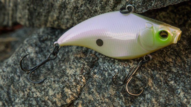 The 5 Most Underrated Lipless Crankbaits Available