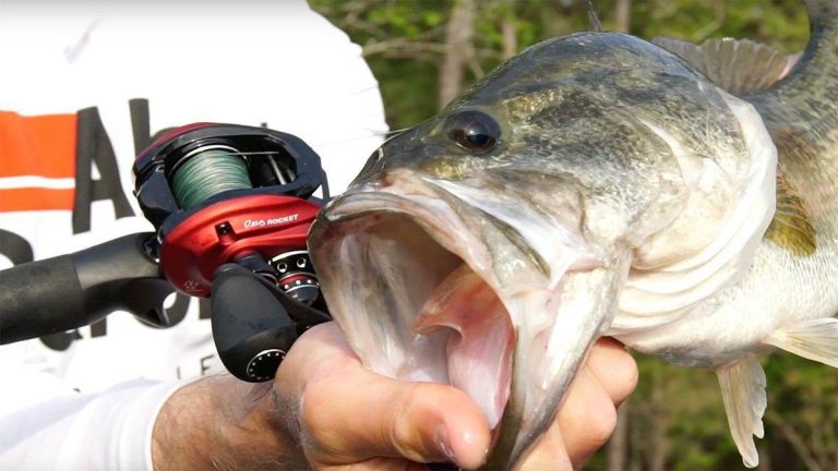 Abu Garcia Announces New 10:1 Revo Rocket for 2019