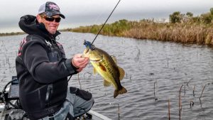 Target Pad Stems for a Spring Bass Fishing Bounty
