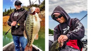 Daiwa adds Meyer, Feider