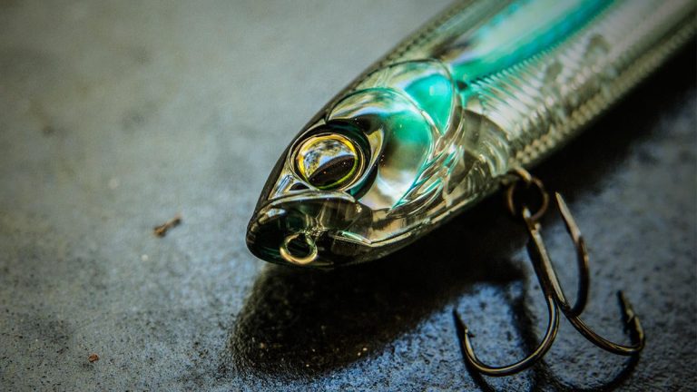 3 Essential Lure Characteristics for Fall Bass Fishing