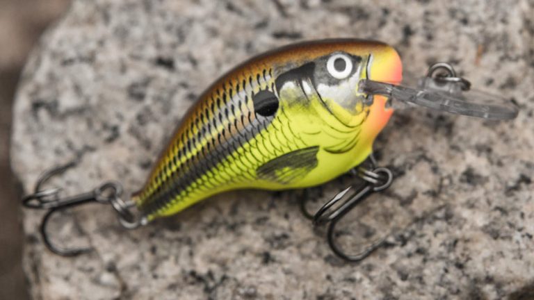 Rapala DT-4 Crankbait Review - Wired2Fish