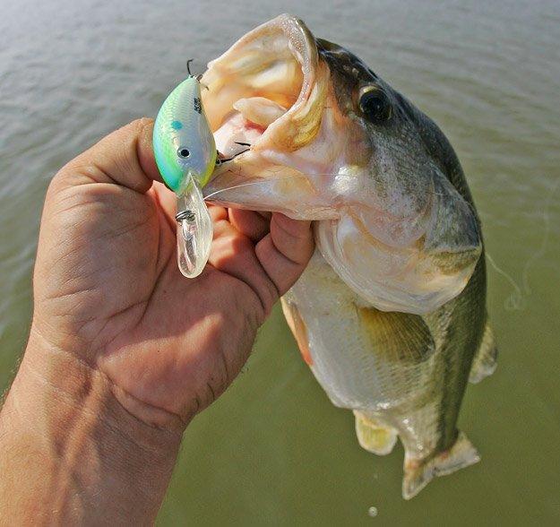 How to Fish Crankbaits Offshore on Reservoirs