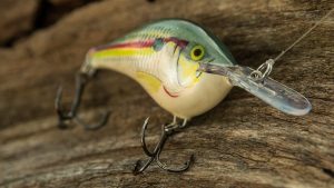 Rapala DT 6 Crankbait Review