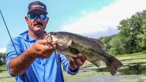 Find Bass Fishing Hotspots in Backwater Sloughs