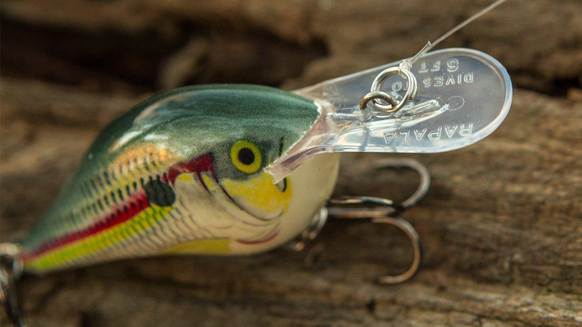 Rapala DT 6 Crankbait Review - Wired2Fish