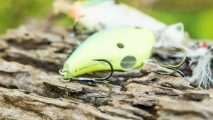 Berkley Fusion19 Treble 1x Hook Review