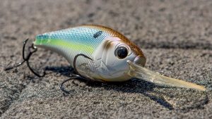 6th Sense Cloud 9 Crankbait Review