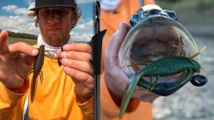 Flipping Hook vs. EWG Hook: What to Use and When?