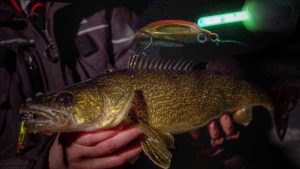 Ice Fishing Walleye With Glow Spoons