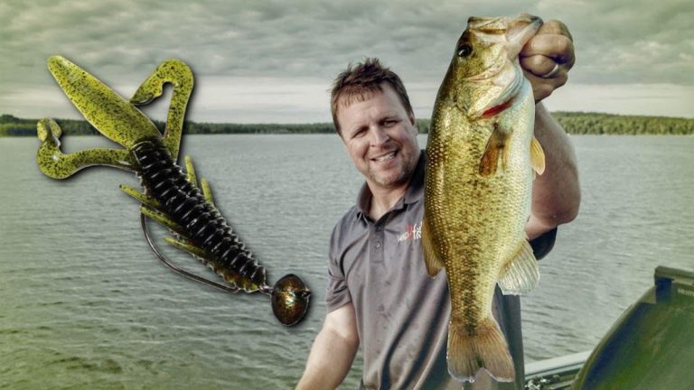 A Guide to Bass Fishing with Swinging Jigs