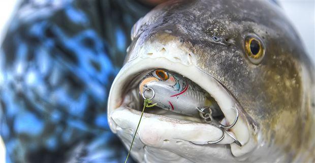 How To Use MirrOlure Twitchbaits To Catch Fall Redfish & Trout