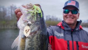 How Spinnerbaits Excel for Springtime Cold Front Bass