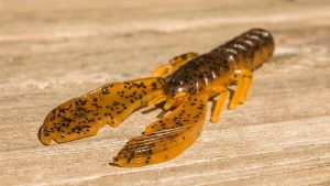 X Zone Lures Muscle Back Craw Review