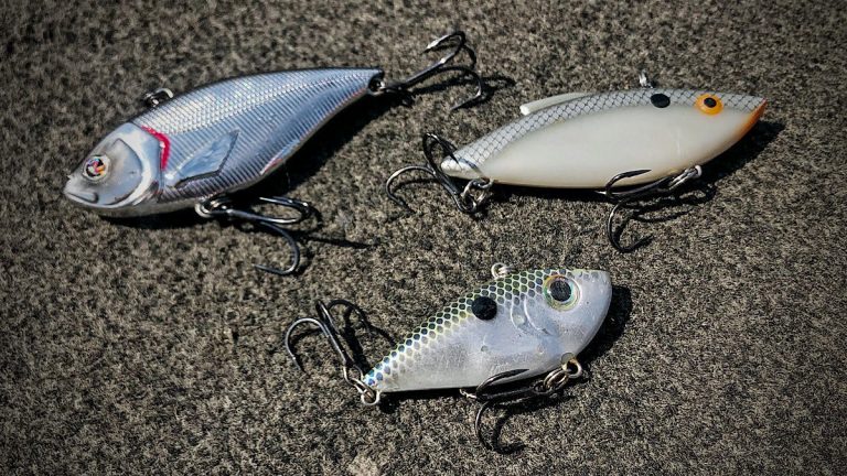 Fall Bass Fishing Lures to Downsize for More and Bigger Bites
