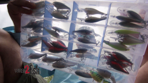 Quick and Easy Crankbait Organization Tip