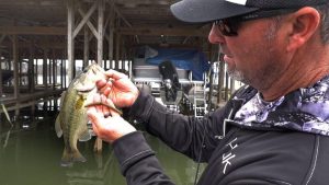 GMAN on Skipping Neko Rigs Under Docks for Bass