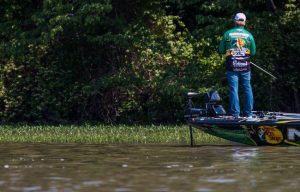 How to Quickly Find Transitioning Fall Bass