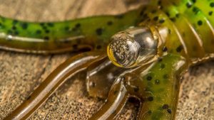 Tackle Talk: Gene Larew Rattlin’ Crawler