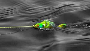 When to Fish Bluegill-Imitating Prop Baits for Spring Bass