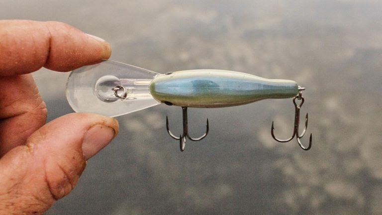 5 Bass Fishing Baits for Shallow, Cold Water