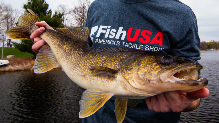 Find Spring Walleyes by Watching Water Temperature