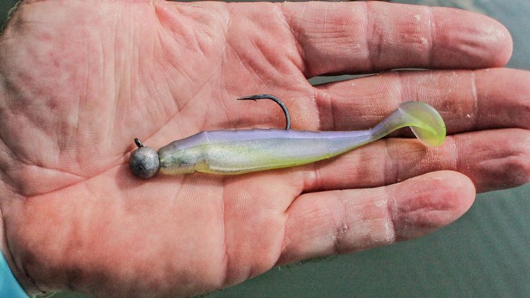 5 Must-Have Beginner Baits for Bass Fishing