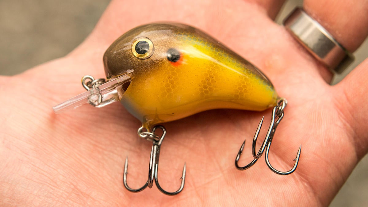 Norman Fat Boy Crankbait Review - Wired2Fish