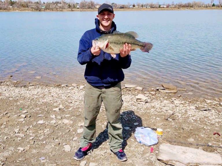 State Record Largemouth Bass Caught While Trout Fishing