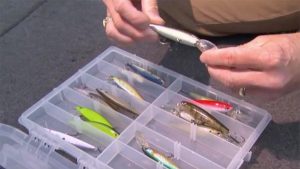 How to Select the Right Jerkbait for Bass