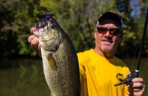 Fish Backwaters to Beat Tough Fall River Bite