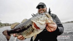 Master Mat Punching for Bass with These Fishing Tips