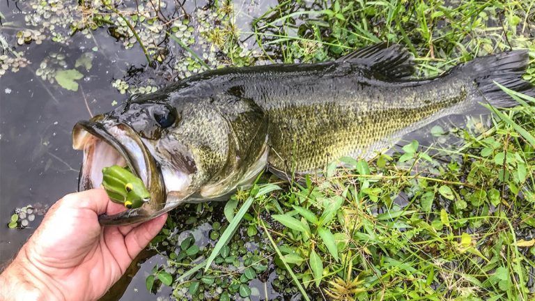 3 Easy Ways to Shore Up Your Bank Fishing Game