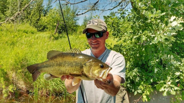 Why Bank Fish Bass off the Beaten Path