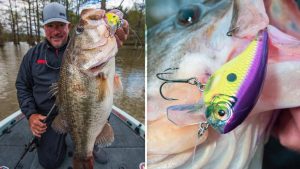 Squarebill Cranking Basics and a Look at Rapala’s BX Big Brat