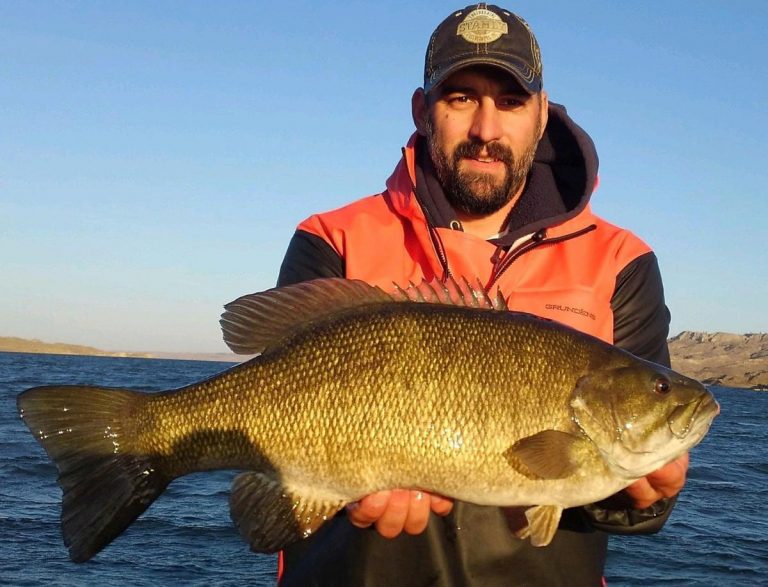 State Record Largemouth Bass Caught While Trout Fishing