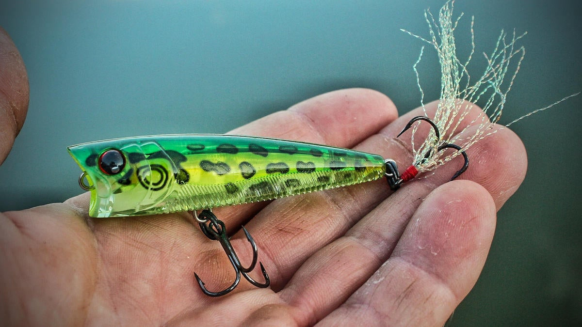 3 Must-Have Topwater Lures for Shallow Summer Bass - Wired2Fish