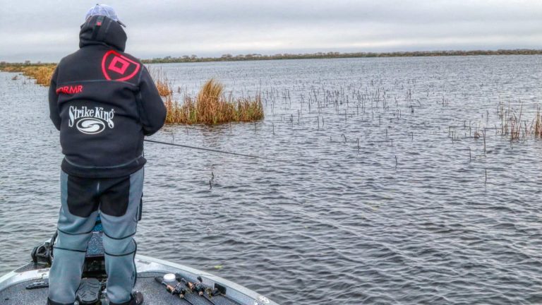 Target Pad Stems for a Spring Bass Fishing Bounty