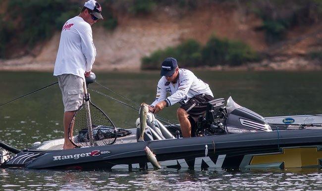 6 Ways to Make the Most of Schooling Bass