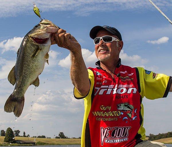 5 Simple Ways to Catch Fall Bass - Wired2Fish